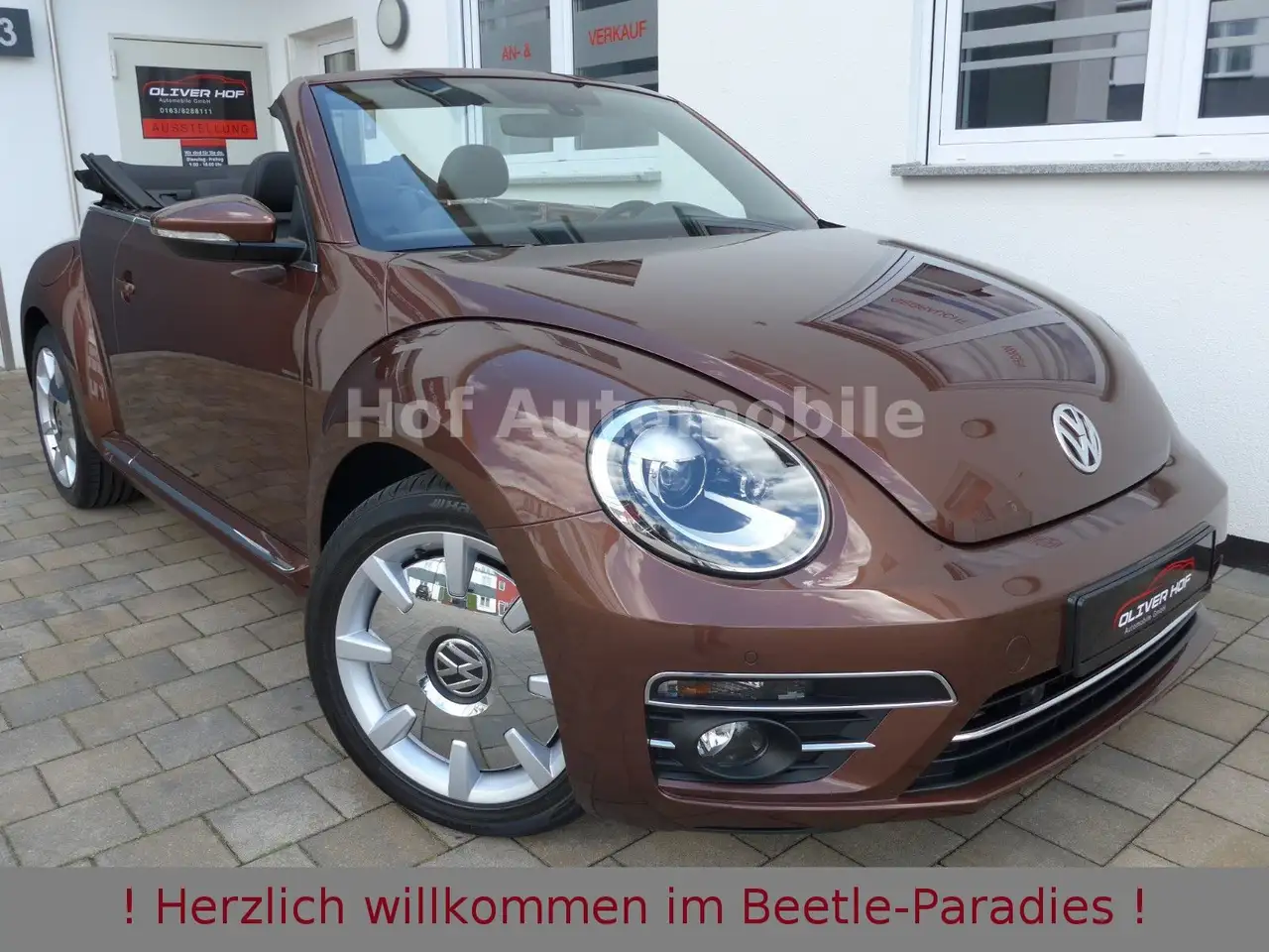 Volkswagen Beetle