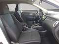 Nissan Qashqai 1.2 DIG-T VISIA KLIMA+RADIO+PDC Blanc - thumbnail 20