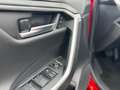 Toyota RAV 4 RAV 4 Plug-in-Hybrid Technik- und Style Paket Rot - thumbnail 6