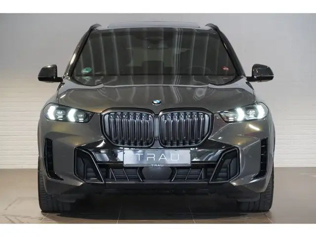 BMW X5 X5 view 2