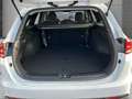 Kia Ceed SW / cee'd SW 1.5T DCT 48V Ultimate Edition Style-Paket Navi And Weiß - thumbnail 5