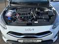 Kia Ceed SW / cee'd SW 1.5T DCT 48V Ultimate Edition Style-Paket Navi And Weiß - thumbnail 14
