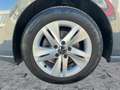 Volkswagen Golf VIII 2.0 TDI DSG LIFE LED+NAVI+PANO+ACC+SHZ Gris - thumbnail 8