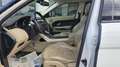 Land Rover Range Rover Evoque 2.2 td4 Prestige 150cv 5p Blanc - thumbnail 7