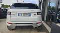 Land Rover Range Rover Evoque 2.2 td4 Prestige 150cv 5p Blanc - thumbnail 3