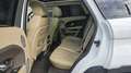 Land Rover Range Rover Evoque 2.2 td4 Prestige 150cv 5p Blanc - thumbnail 8
