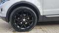 Land Rover Range Rover Evoque 2.2 td4 Prestige 150cv 5p Blanc - thumbnail 6
