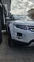 Land Rover Range Rover Evoque 2.2 td4 Prestige 150cv 5p Blanc - thumbnail 4
