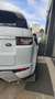Land Rover Range Rover Evoque 2.2 td4 Prestige 150cv 5p Blanc - thumbnail 5