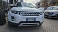 Land Rover Range Rover Evoque 2.2 td4 Prestige 150cv 5p Bianco - thumbnail 2