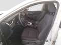 Toyota RAV 4 RAV4 2.5 VVT-I 160KW ADVANCE AUTO 218 5PT Weiß - thumbnail 12