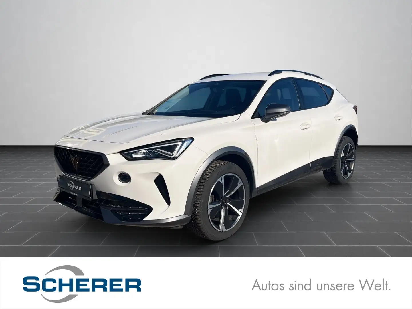 CUPRA Formentor 1,5 TSI NAVI AHK SHZ Weiß - 1