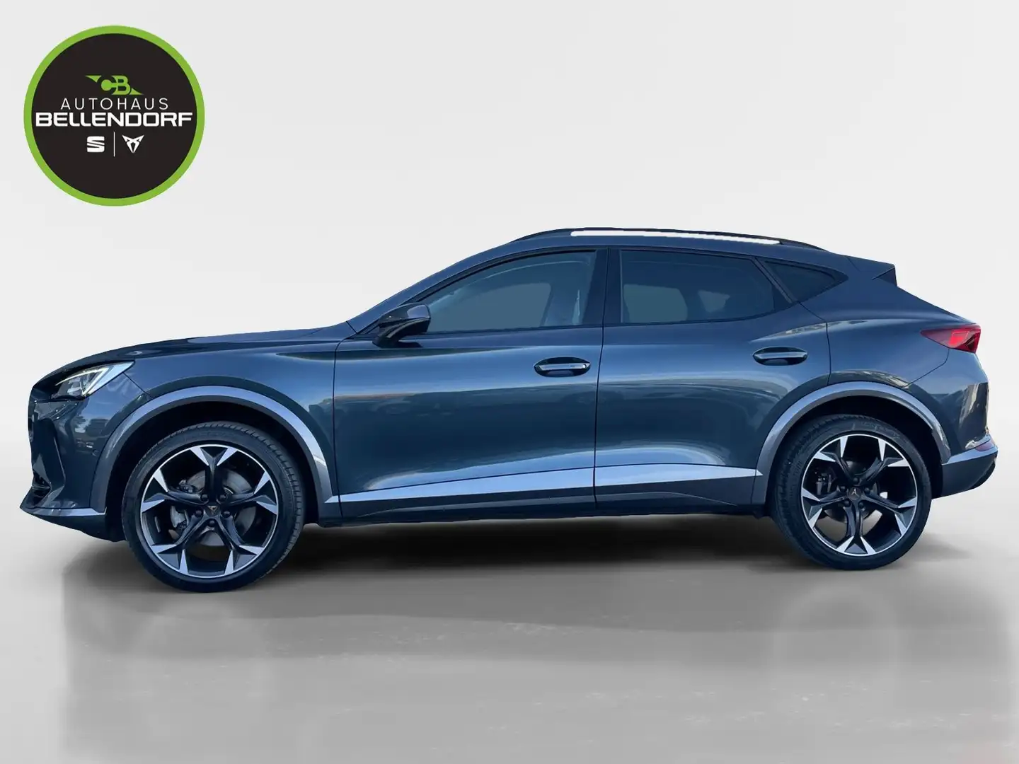 CUPRA Formentor 2.0 TDI DSG 4Drive Navi Rückfahrkamera Gris - 2