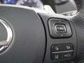 Lexus NX 300h AWD F Sport Line Panorama Dak | Elek verstelbare s Wit - thumbnail 24