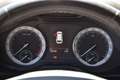 Skoda Kodiaq 2.0 TDI Style 4x4 *Chrom-Paket* Grün - thumbnail 8