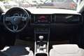Skoda Kodiaq 2.0 TDI Style 4x4 *Chrom-Paket* Grün - thumbnail 14