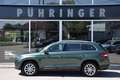 Skoda Kodiaq 2.0 TDI Style 4x4 *Chrom-Paket* Grün - thumbnail 1