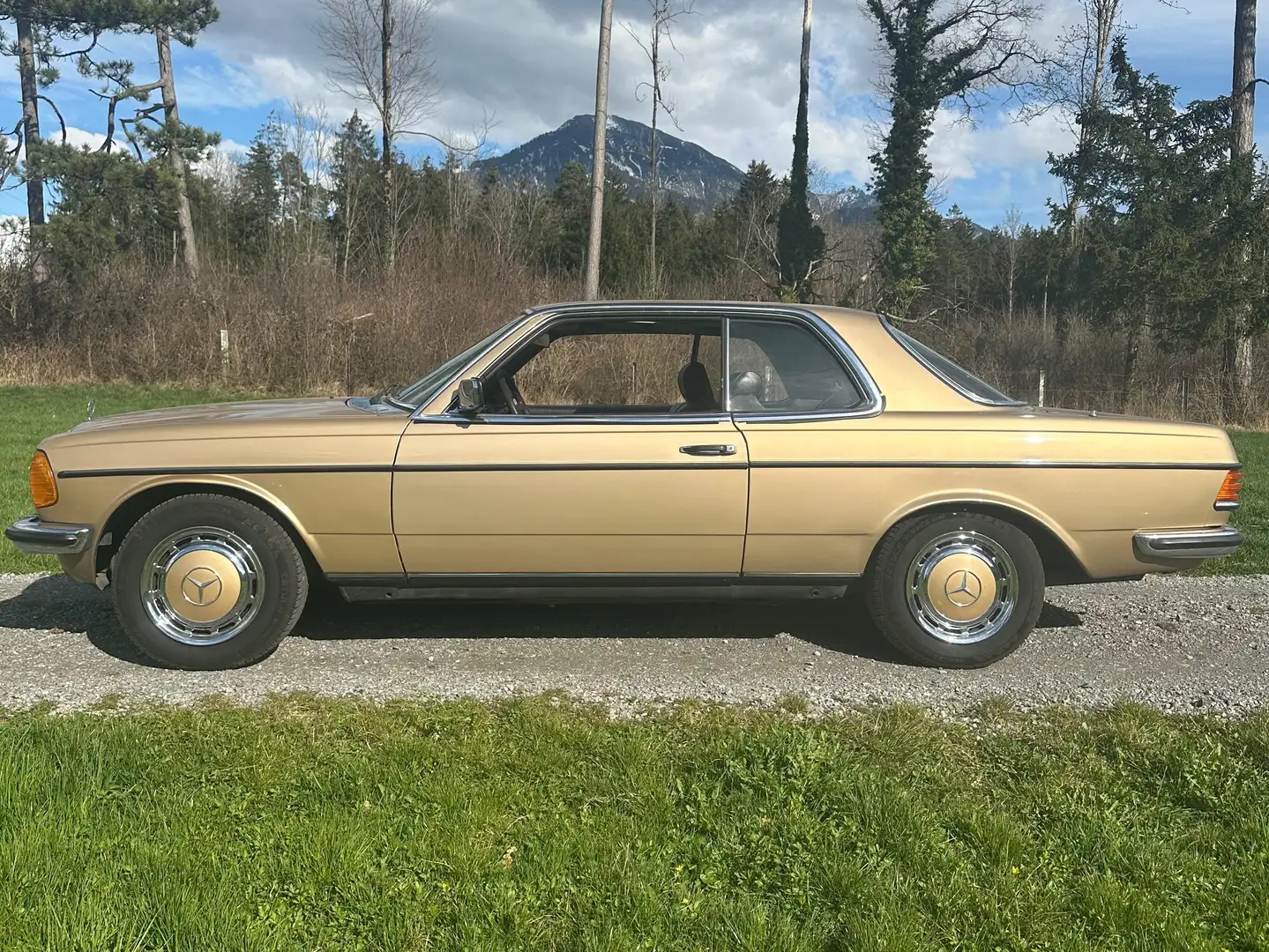 Mercedes-Benz CE 230 230 CE Coupé C123E23 Bronz - 1