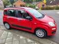 Fiat Panda Panda 1.2i Eco Classic Rood - thumbnail 4