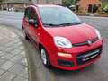 Fiat Panda Panda 1.2i Eco Classic Rood - thumbnail 2