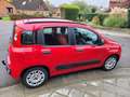 Fiat Panda Panda 1.2i Eco Classic Rood - thumbnail 5