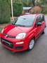 Fiat Panda Panda 1.2i Eco Classic Rood - thumbnail 3