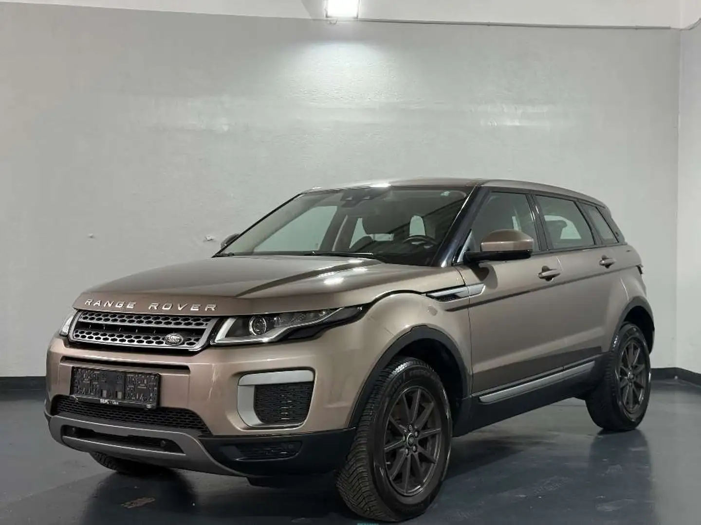 Land Rover Range Rover Evoque Pure 2,0 eD4 e-Capability *STEUERKETTE NEU* *FI... Grau - 1