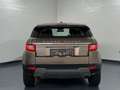 Land Rover Range Rover Evoque Pure 2,0 eD4 e-Capability *STEUERKETTE NEU* *FI... Grau - thumbnail 5