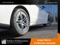 Mercedes-Benz E 220 d AMG/LED/DISTRONIC/KeylessGO/Totwinkel/Cam Wit - thumbnail 11