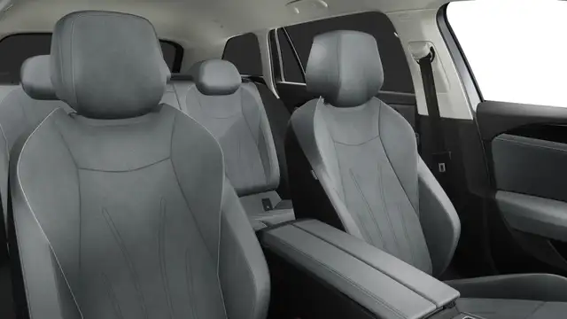 Volkswagen Passat view 6
