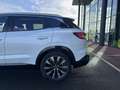 Renault Austral 1.2 E-Tech 200 Techno PHASE 2 Weiß - thumbnail 13