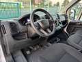 Fiat Ducato L4H3 KW 35 MAXI *Preis inkl. NoVA* (=CAMPER-Basis) Weiß - thumbnail 13