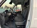 Fiat Ducato L4H3 KW 35 MAXI *Preis inkl. NoVA* (=CAMPER-Basis) Weiß - thumbnail 12