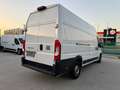 Fiat Ducato L4H3 KW 35 MAXI *Preis inkl. NoVA* (=CAMPER-Basis) Weiß - thumbnail 7
