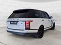 Land Rover Range Rover 3.0 TDV6 HSE IVA ESPOSTA / TAGLIANDI LAND Bianco - thumbnail 7