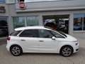 Citroen C4 Picasso BlueHDi 150 EAT6 Exclusive Aut. Weiß - thumbnail 2