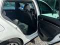 Volkswagen Golf Highline BMT/Start-Stopp *ALLWETTERREIFEN* Weiß - thumbnail 14