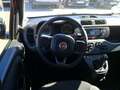 Fiat Panda 1.0 Hybrid 70 cv City Life - E PAGHI COME VUOI ! Rosso - thumbnail 2