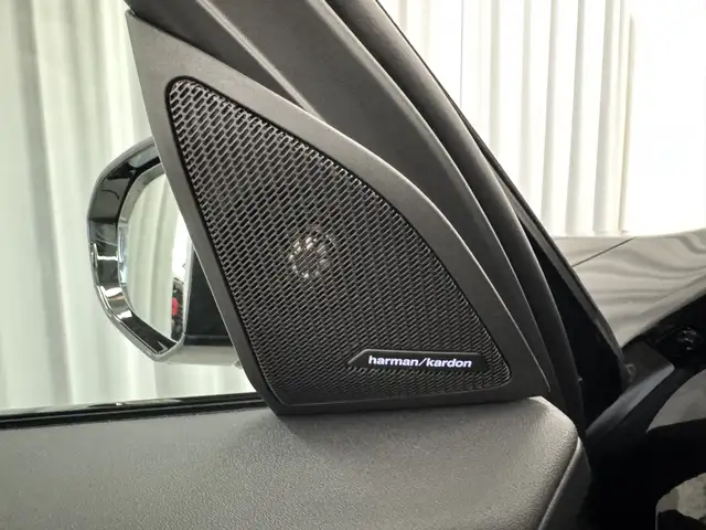 BMW X3 30e xDrive *M-Sportpaket* Ansicht 19