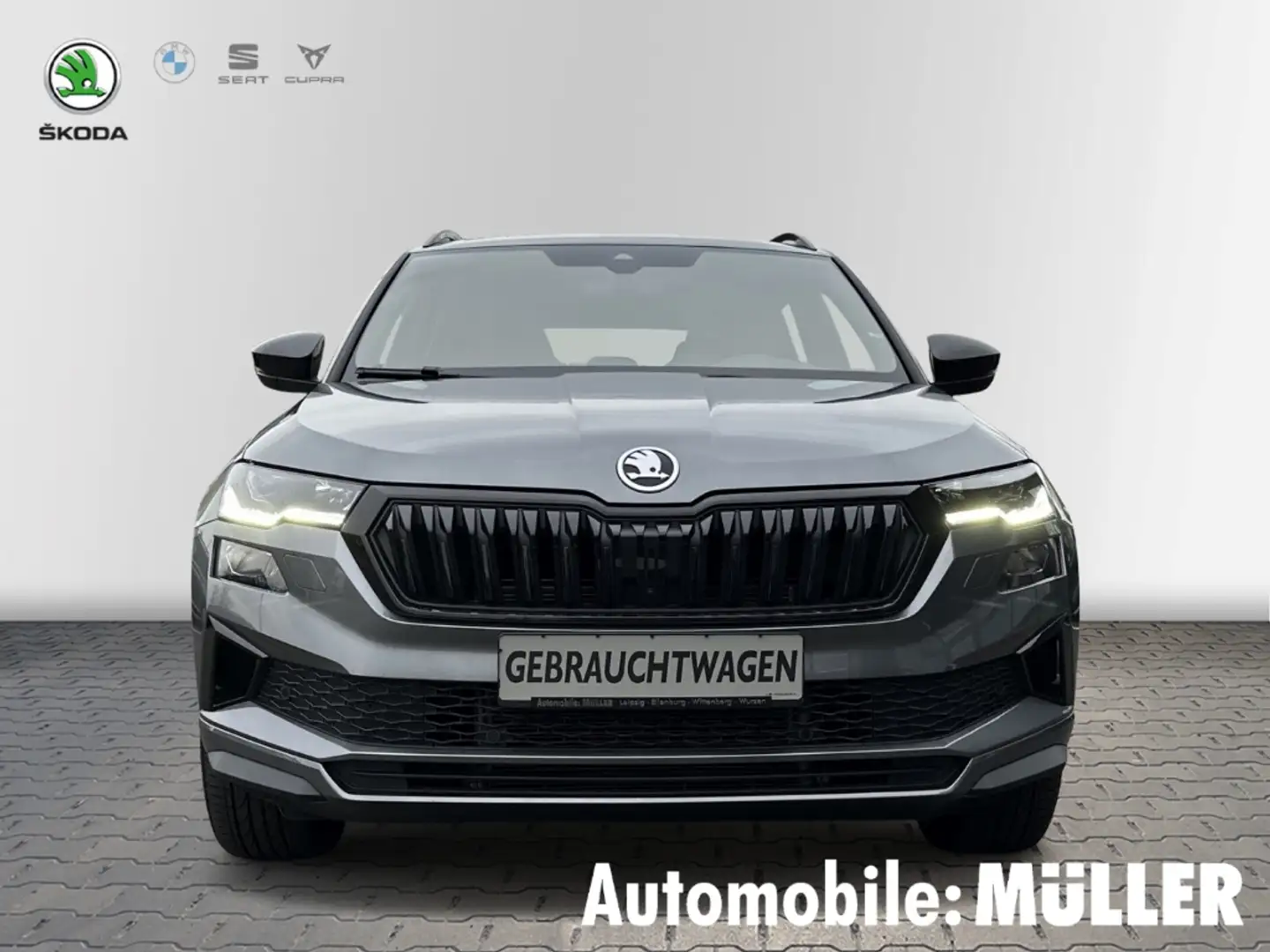 Skoda Karoq 4x4 EU6d 2.0 TSI 4x4x DSG Sportline siva - 2