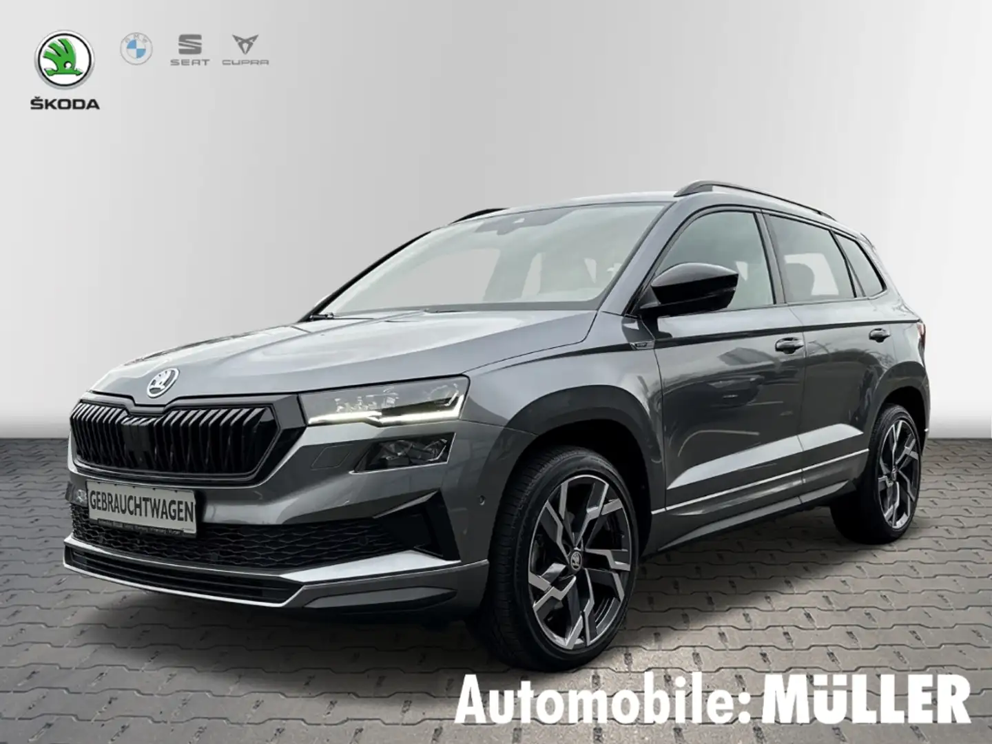 Skoda Karoq 4x4 EU6d 2.0 TSI 4x4x DSG Sportline Gris - 1