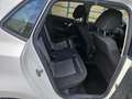 Volkswagen Polo 1.2 TDI 75 BlueMotion GAR 1 AN g - thumbnail 7
