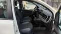 Fiat Panda 1.2 69CV S&S E6D-TEMP EASY*24M.G.*USB* Weiß - thumbnail 14