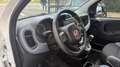 Fiat Panda 1.2 69CV S&S E6D-TEMP EASY*24M.G.*USB* Weiß - thumbnail 8