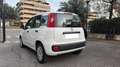 Fiat Panda 1.2 69CV S&S E6D-TEMP EASY*24M.G.*USB* Weiß - thumbnail 4