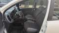 Fiat Panda 1.2 69CV S&S E6D-TEMP EASY*24M.G.*USB* Weiß - thumbnail 10