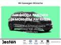 Skoda Superb Combi Selection 1.5TSI mHEV Leder NAVI Blau - thumbnail 4
