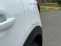 Citroen C3 1.2 PureTech Business | Clima | Cruise | Weiß - thumbnail 27