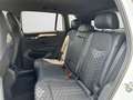 Volkswagen Tiguan R-Line 1.5 TSI DSG IQ.LIGHT BLACK STYLE I Weiß - thumbnail 14
