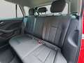 Skoda Kamiq KAMIQ DRIVE 125 1.5 TSI/LED/NAVI/SHZ/PDC/KLIMA Rot - thumbnail 14